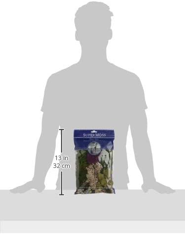 Assorted Preserved Moss Mix