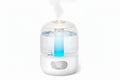3L Cool Mist Ultrasonic Humidifier