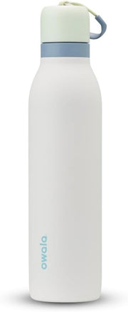 Insulated Stainless Steel Water Bottle with FreeSip Straw