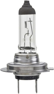 H7 Standard Halogen Bulbs – 12V 55W