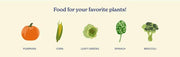 Blood Meal Fertilizer