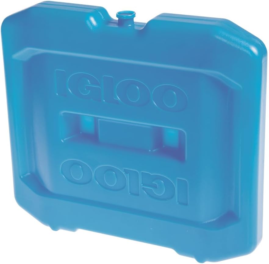 Reusable Ice Blocks for Coolers