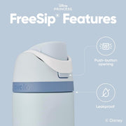 24 Oz Insulated Stainless Steel Water Bottle with Straw
