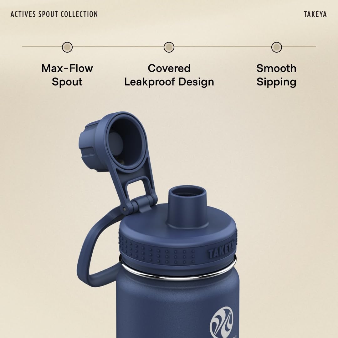 Insulated Stainless Steel Water Bottle with Spout Lid (24 oz)