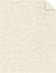 Ivory Parchment Cardstock Paper