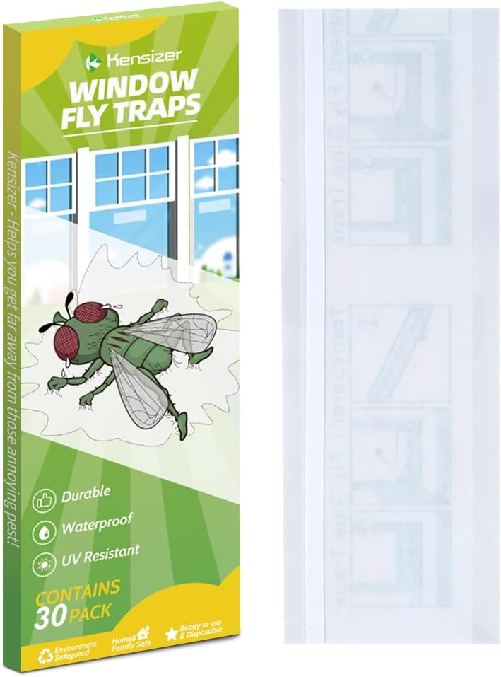 Window Fly Traps