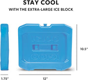 Reusable Ice Blocks for Coolers