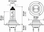 H7 Standard Halogen Bulbs – 12V 55W