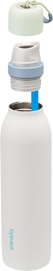 Insulated Stainless Steel Water Bottle with FreeSip Straw