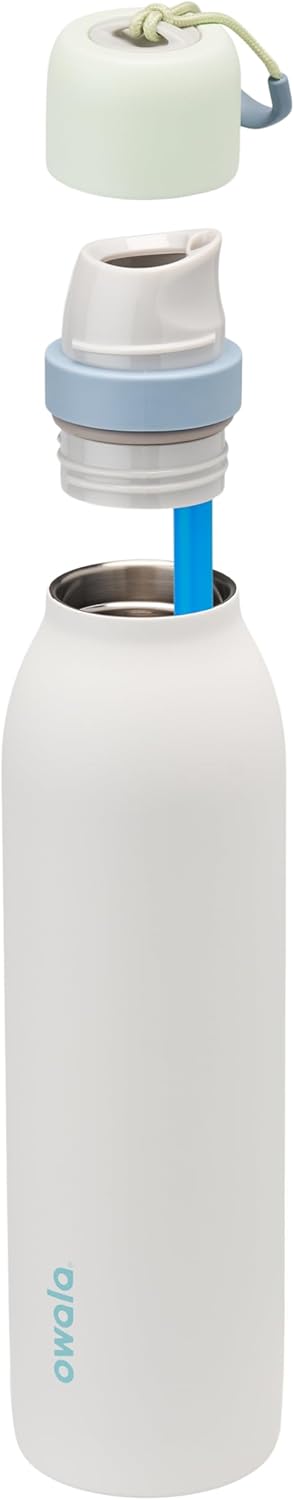 Insulated Stainless Steel Water Bottle with FreeSip Straw