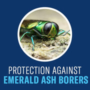 Tree & Shrub Protect