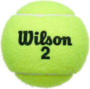 Championship Tennis Balls