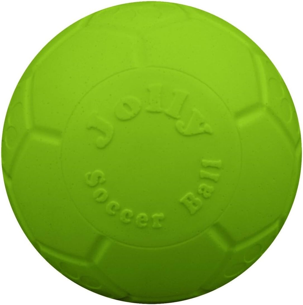 Floating Soccer Ball Dog Toy