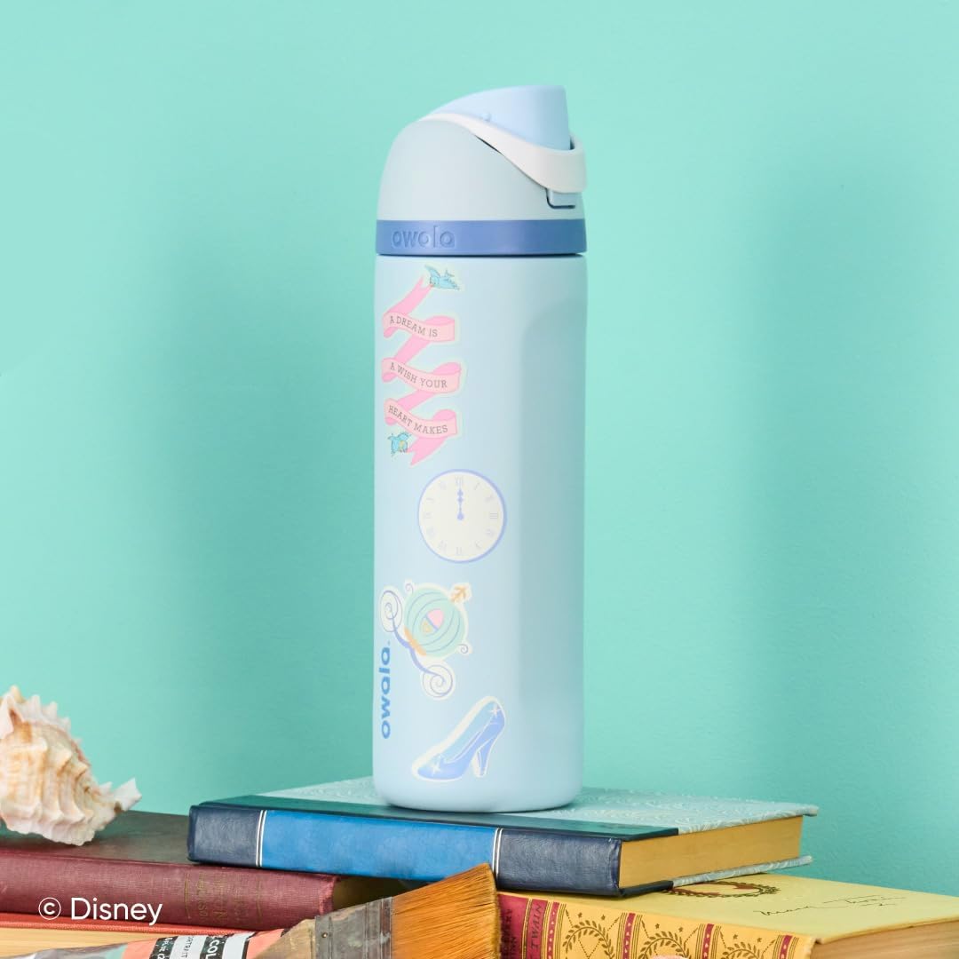 24 Oz Insulated Stainless Steel Water Bottle with Straw