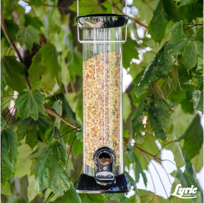 Fine Tunes Bird Seed