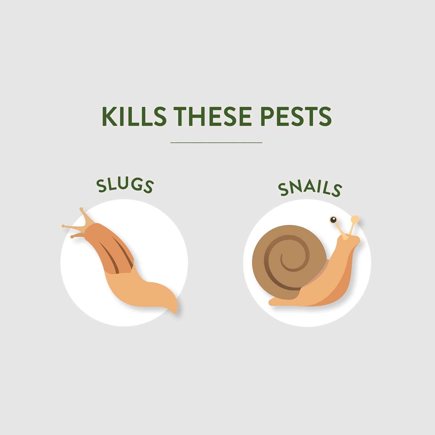 Slug & Snail Bait