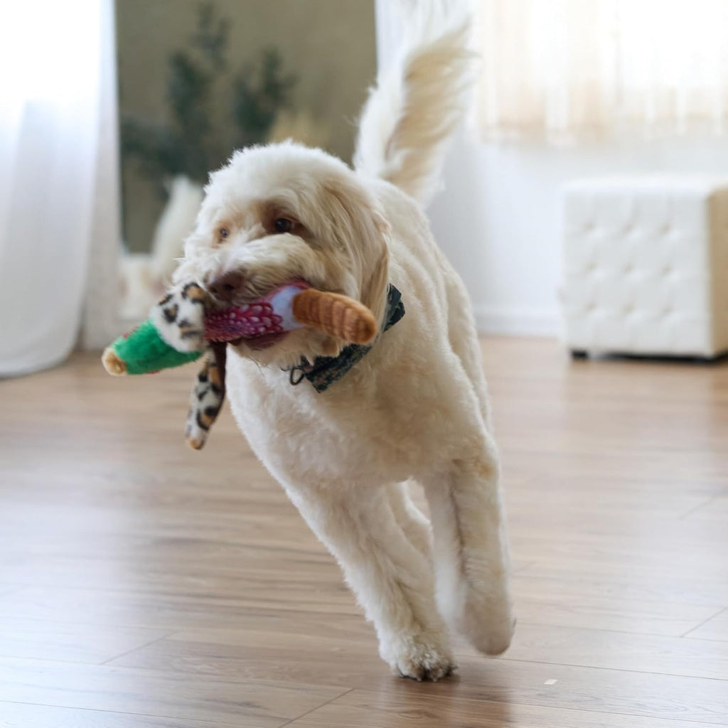 Bird Sound Plush Dog Toy
