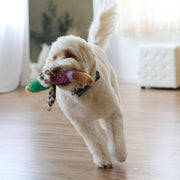 Bird Sound Plush Dog Toy