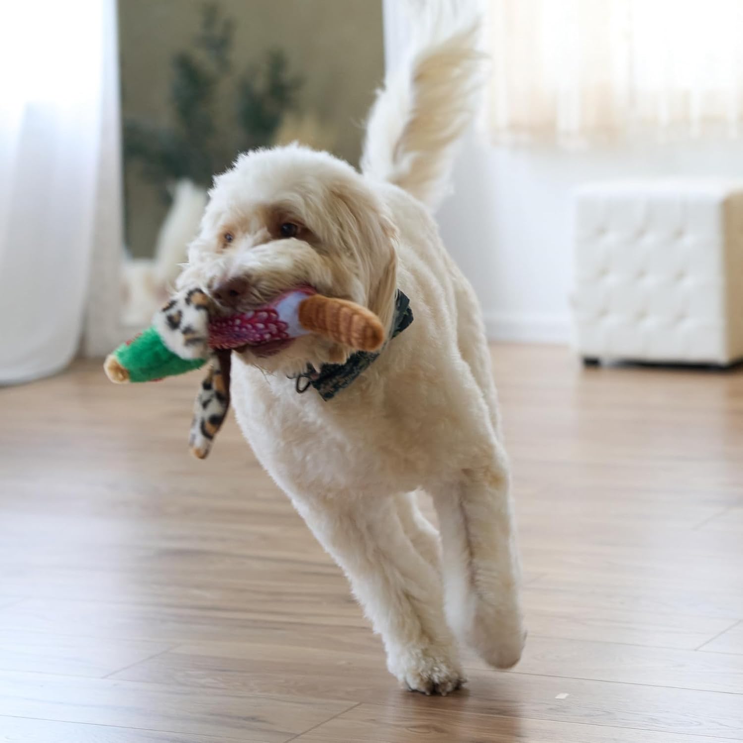 Bird Sound Plush Dog Toy