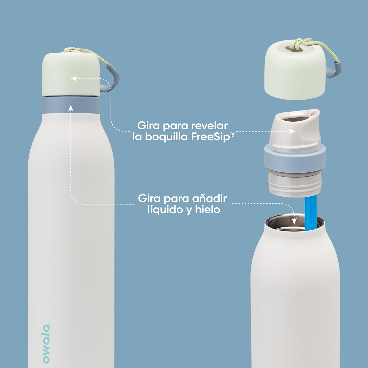 Insulated Stainless Steel Water Bottle with FreeSip Straw