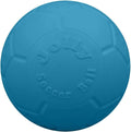 Floating Soccer Ball Dog Toy
