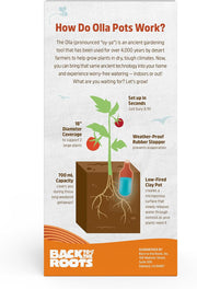 Self-Watering Olla Pot
