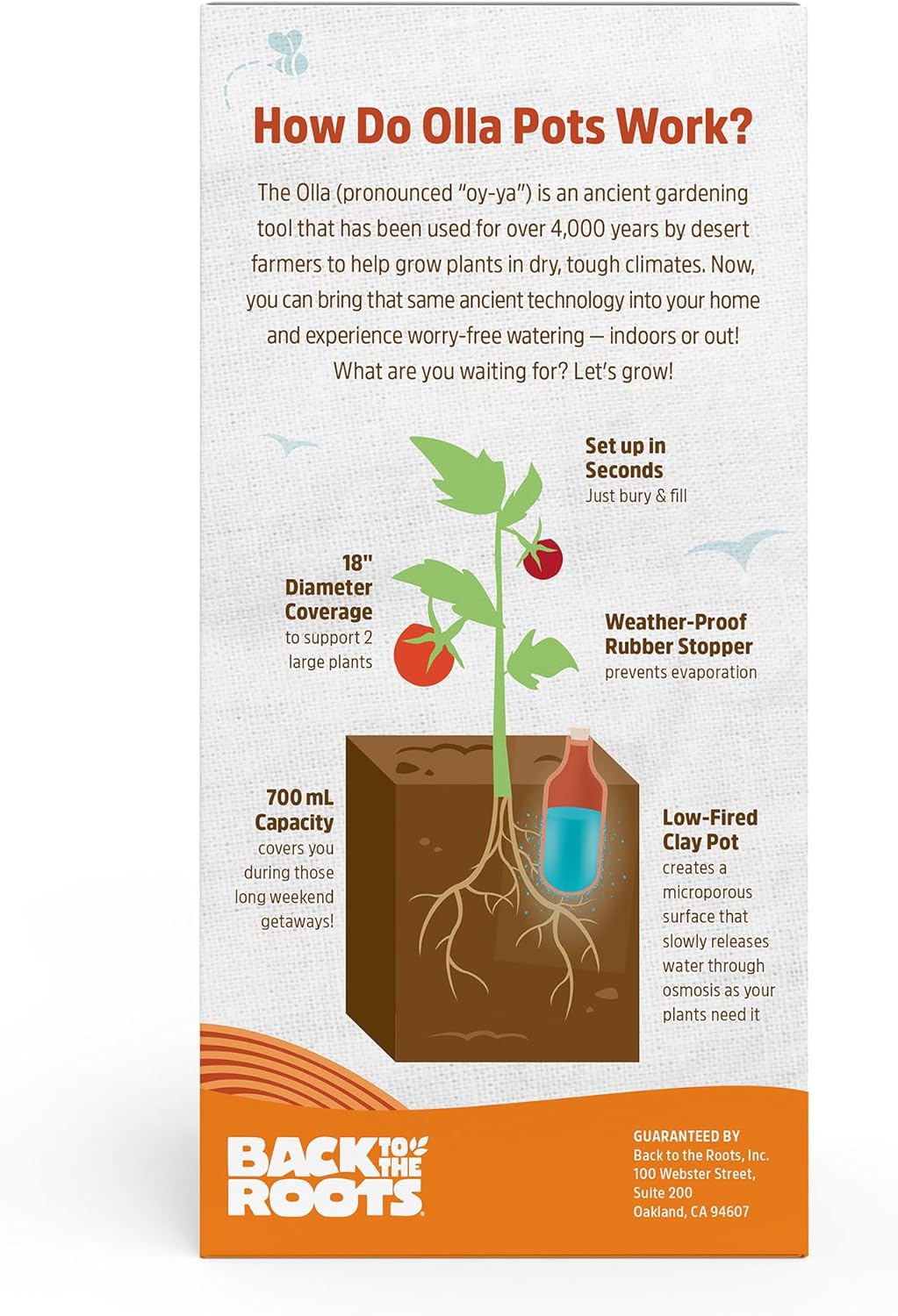 Self-Watering Olla Pot