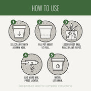 Succulent Potting Mix