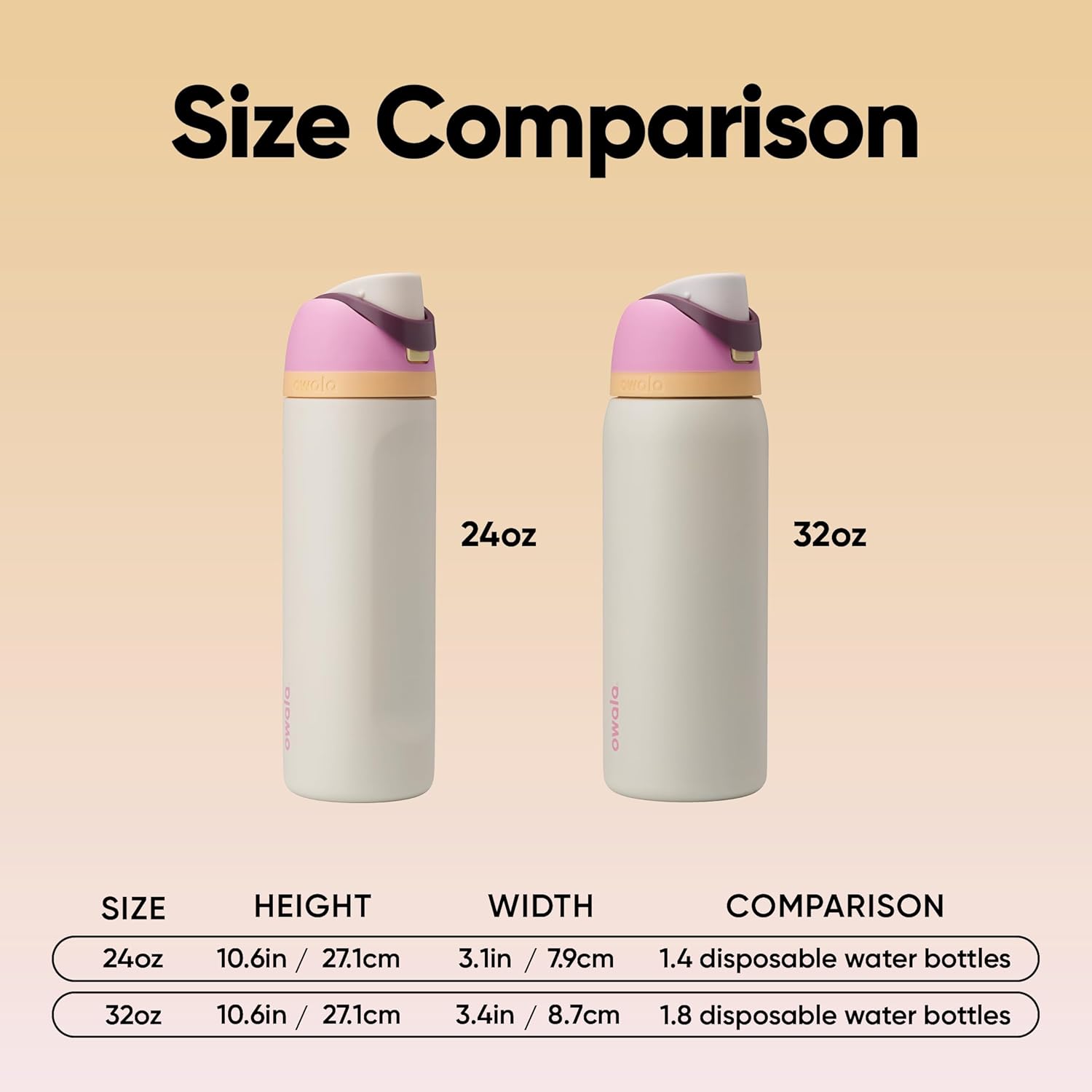 Insulated Stainless Steel Water Bottle with FreeSip Straw – 24 Oz