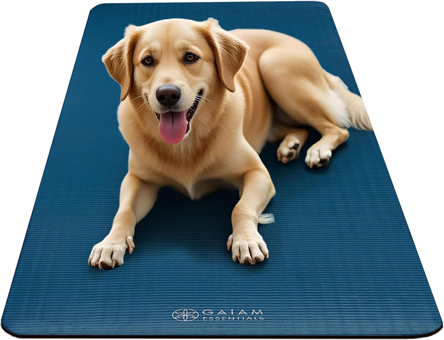 Thick Non-Slip Exercise Yoga Mat