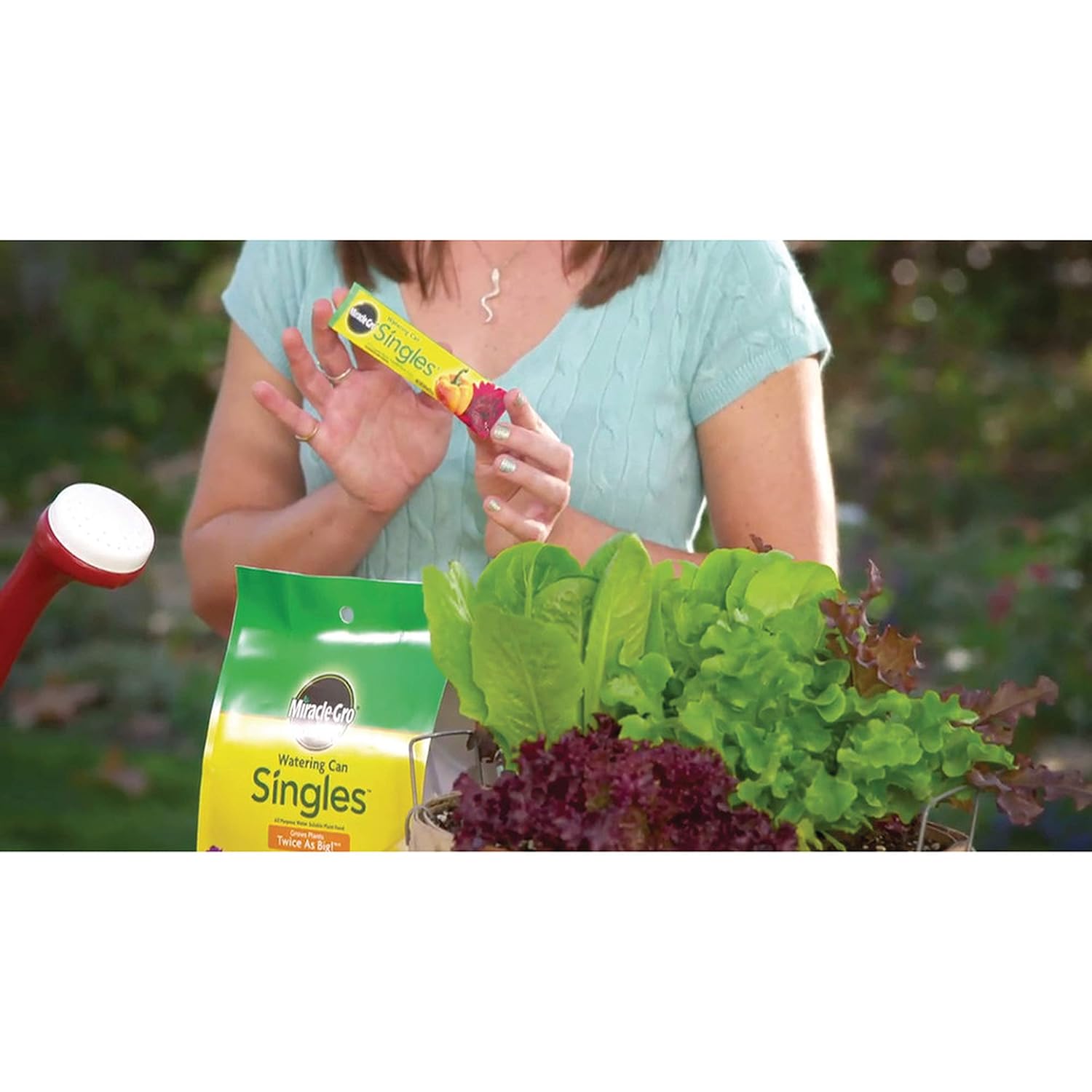 Plant Food Singles
