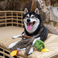 Stuffless Duck Dog Play Toy