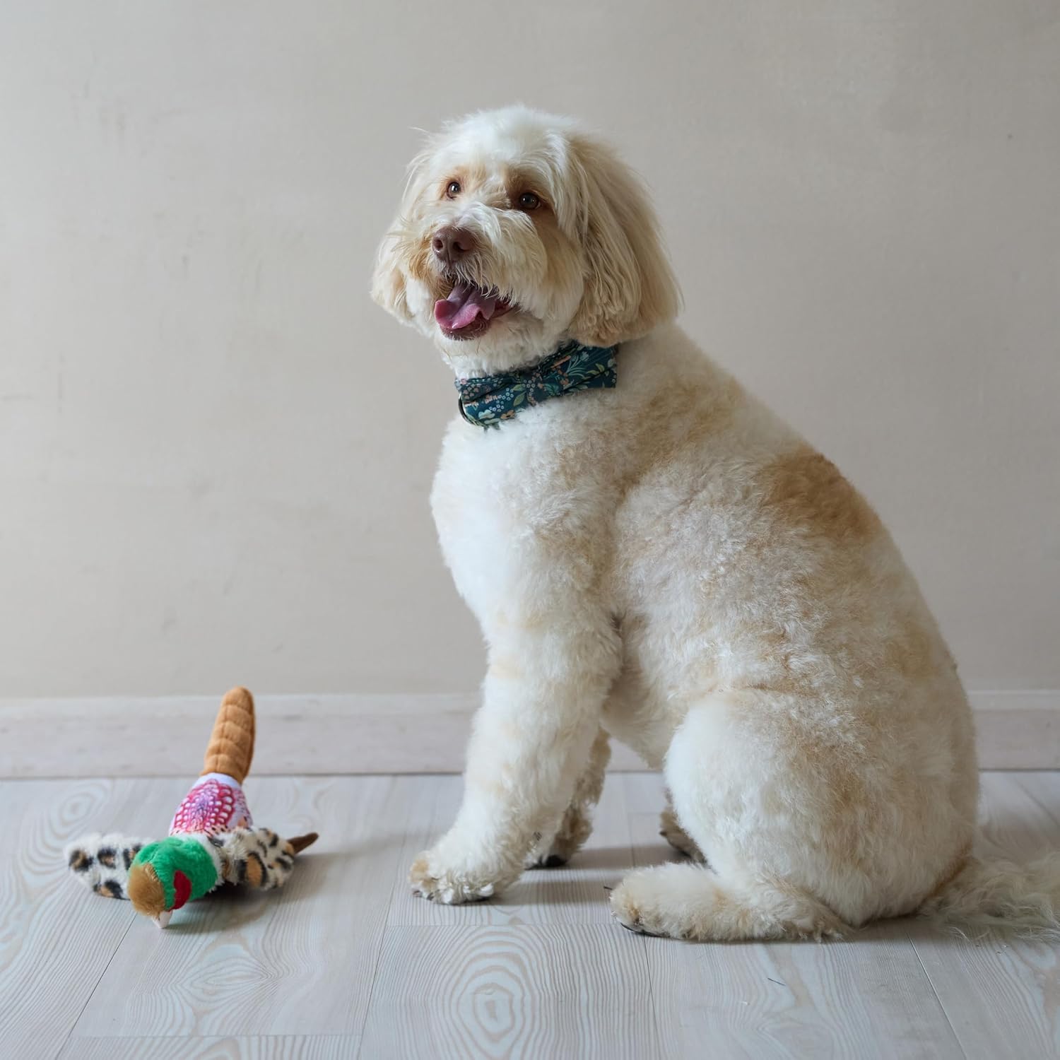 Bird Sound Plush Dog Toy