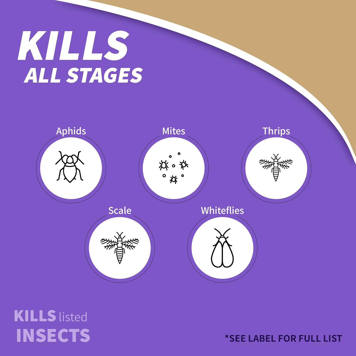 Insecticidal Plant Spray