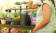 Bloom Booster Flower Food