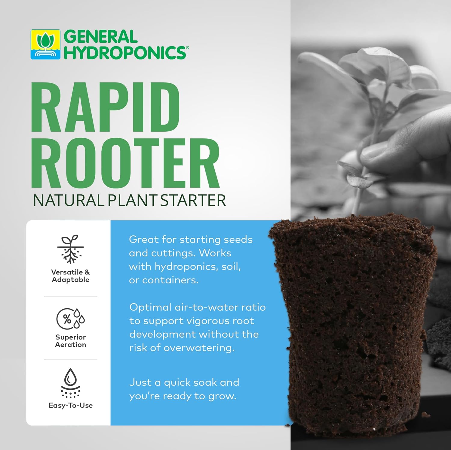 Rapid Rooter Plugs
