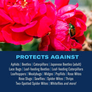 3-in-1 Plant Spray