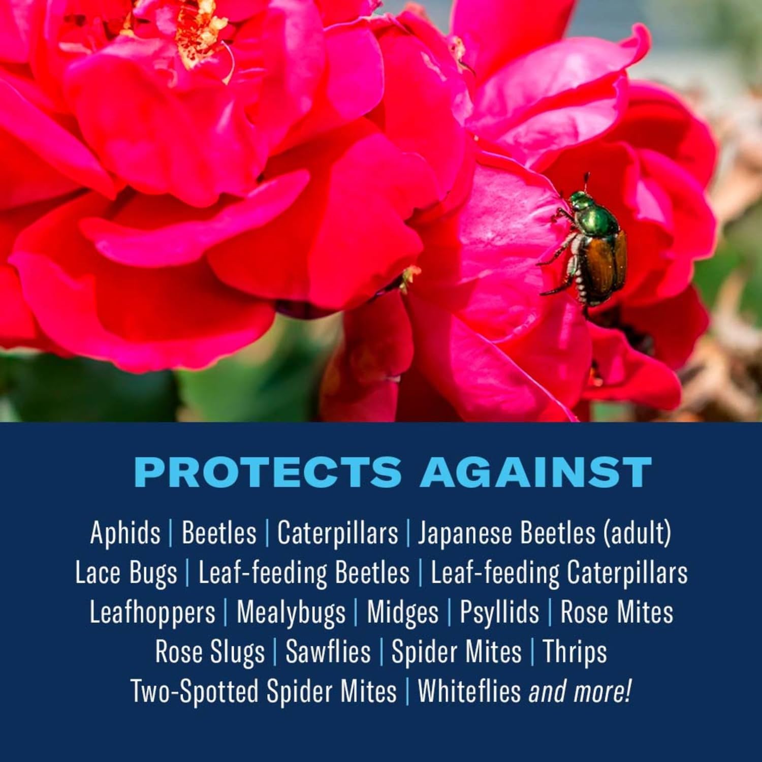 3-in-1 Plant Spray