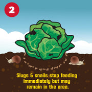 Slug & Snail Killer
