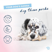 Tiny Puppy Chew Toy Set – 2 Pack