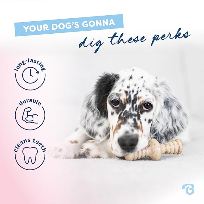 Tiny Puppy Chew Toy Set – 2 Pack