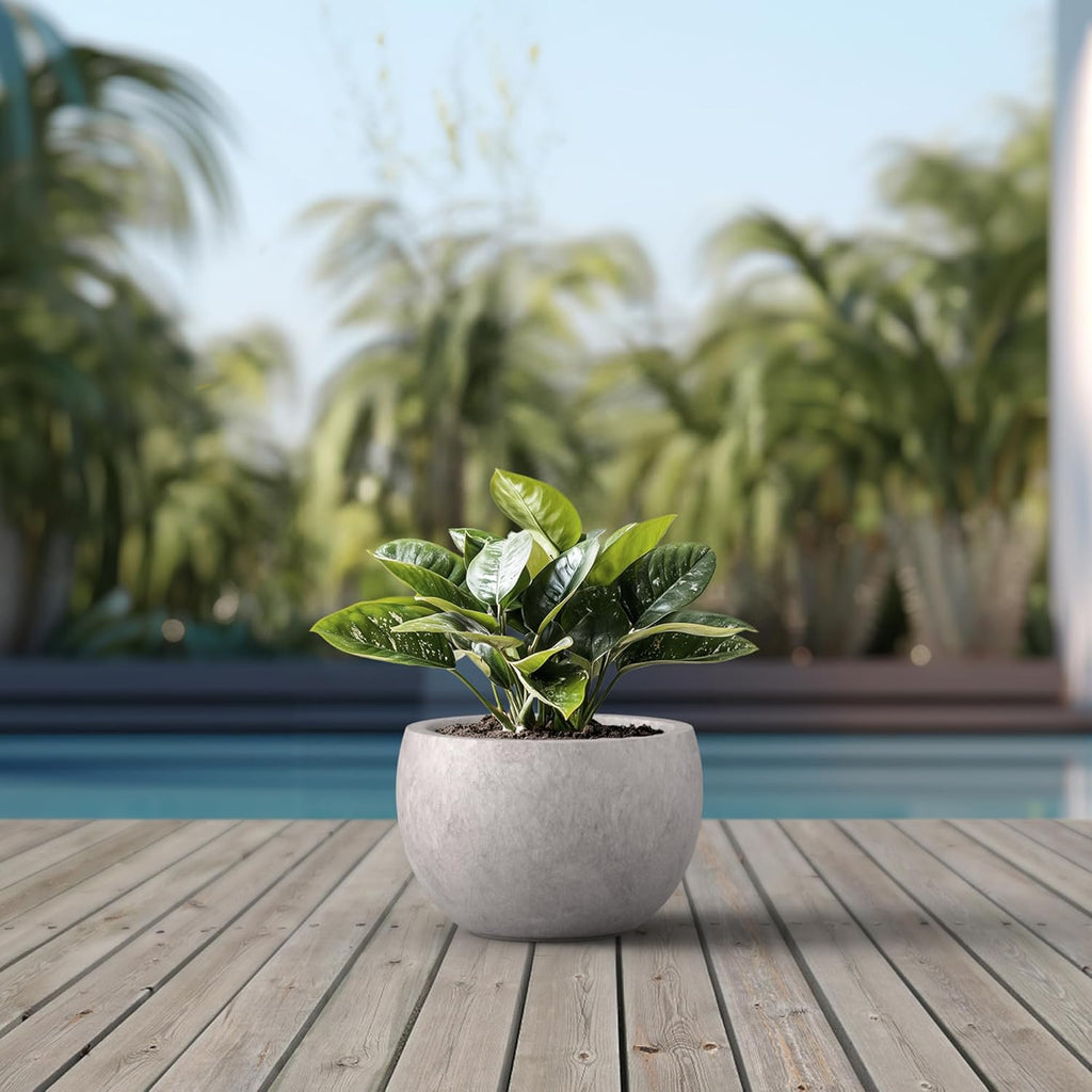 Concrete Plant Pot