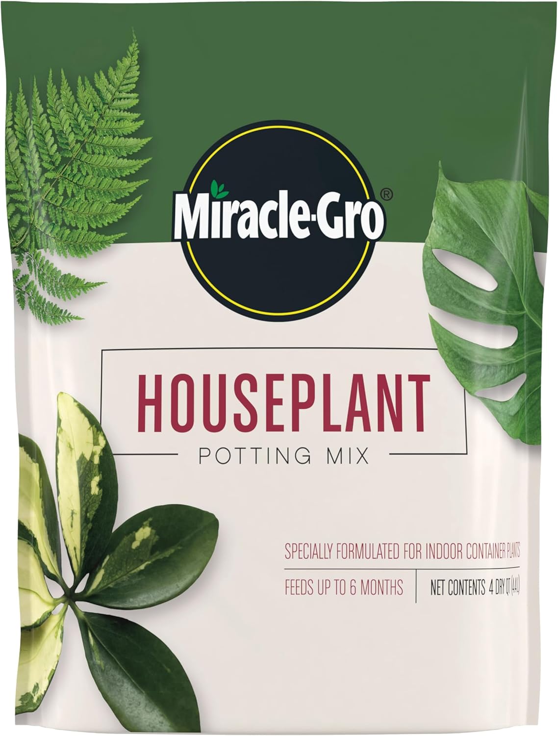 Indoor Potting Soil Mix