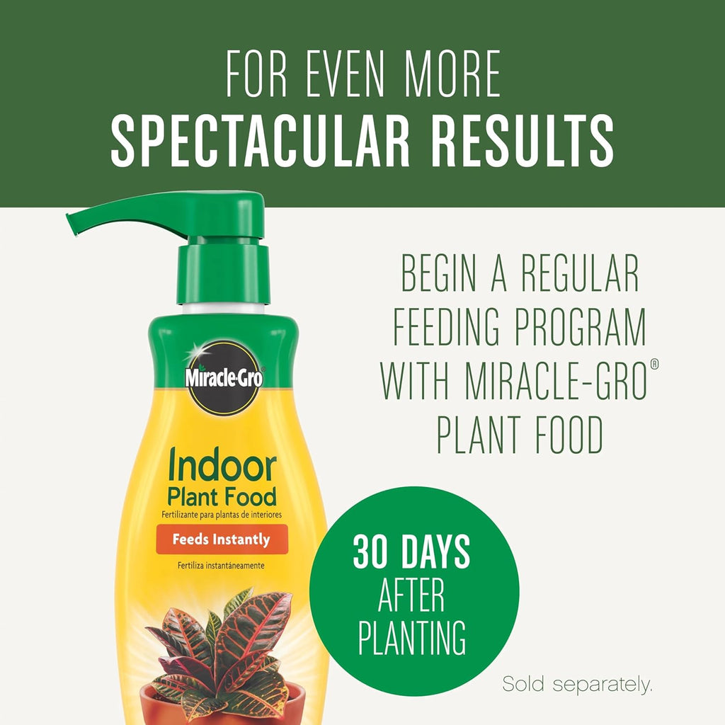 Indoor Potting Soil Mix