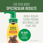 Indoor Potting Soil Mix