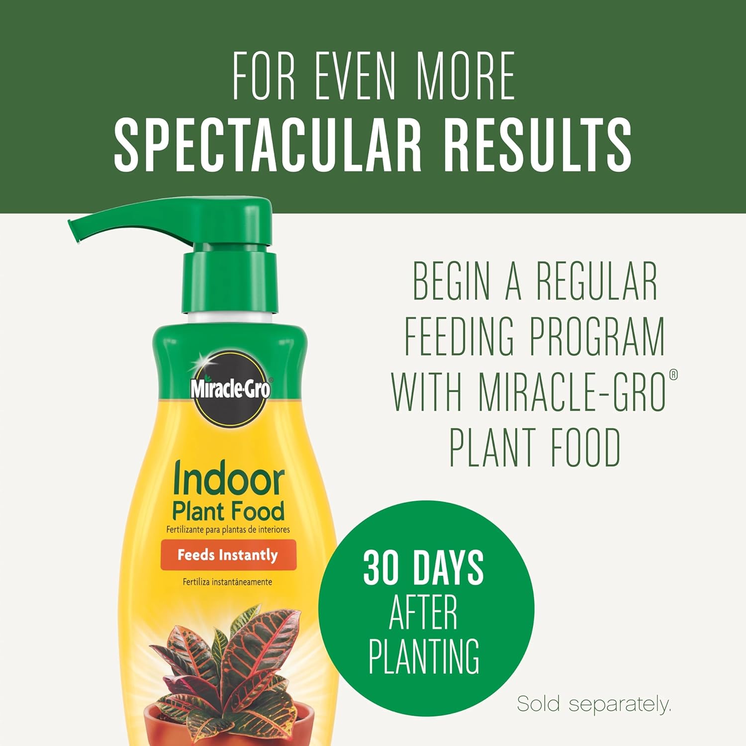 Indoor Potting Soil Mix