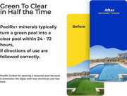 Pool Algae Control
