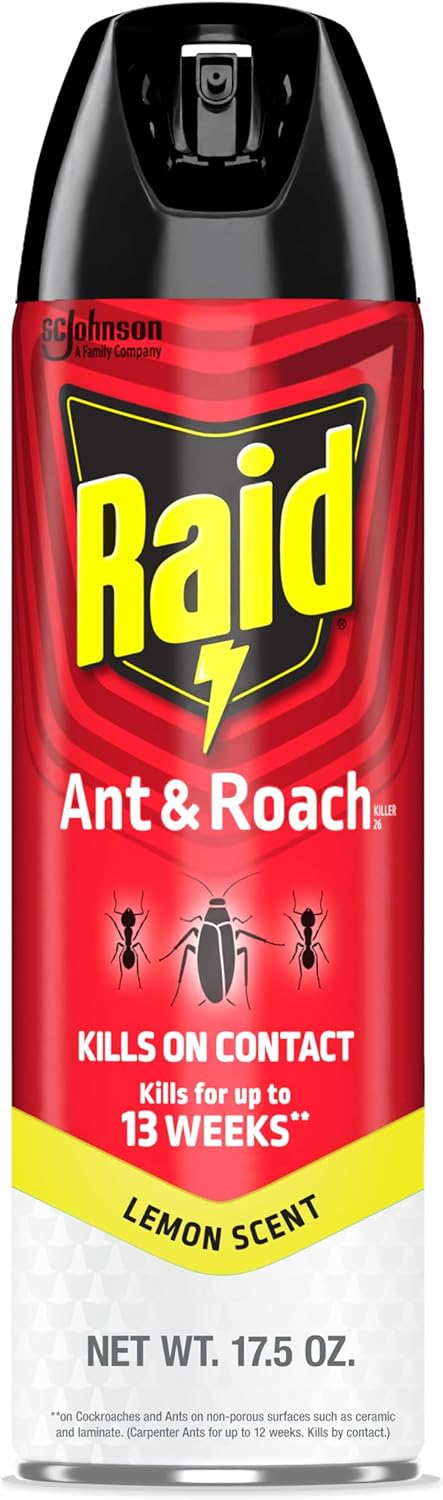Outdoor Wasp Trap