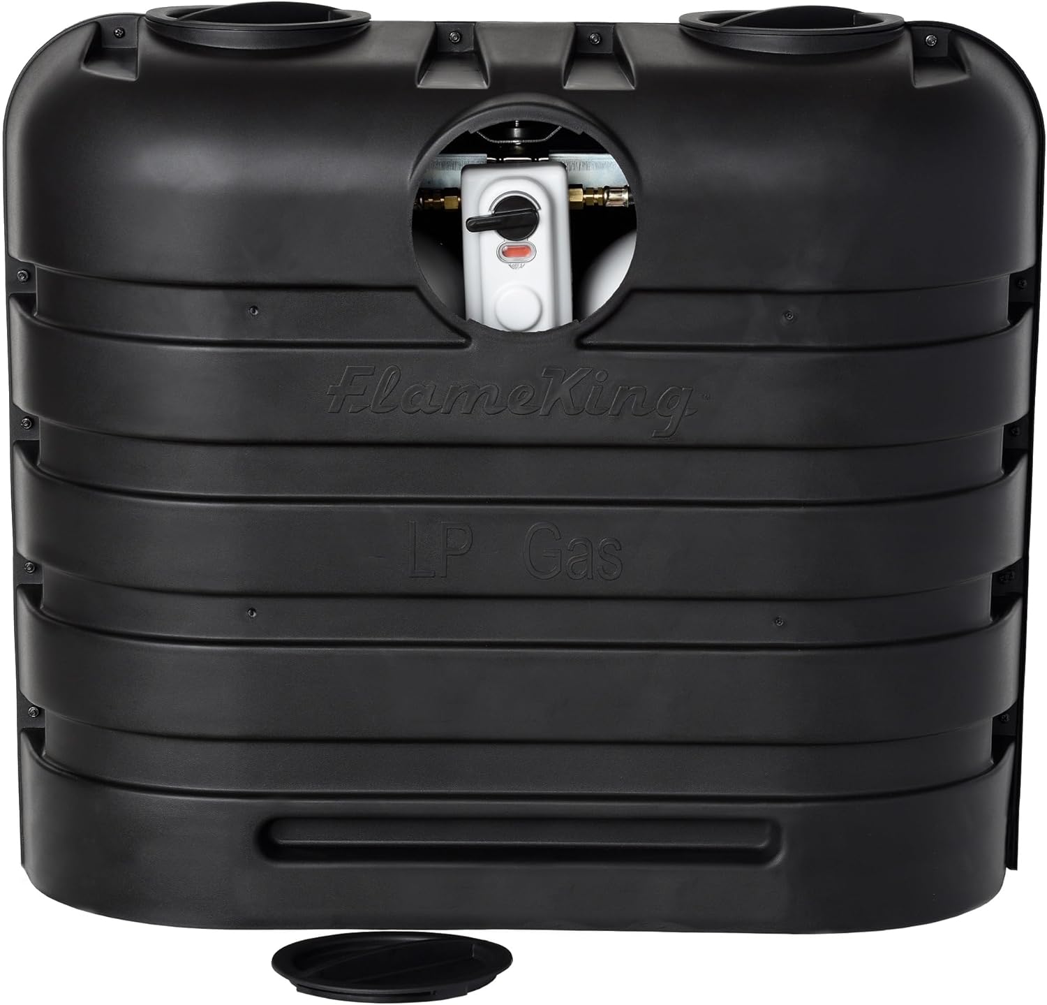 Dual 30 lb Propane Tank Cover for RVs – Black