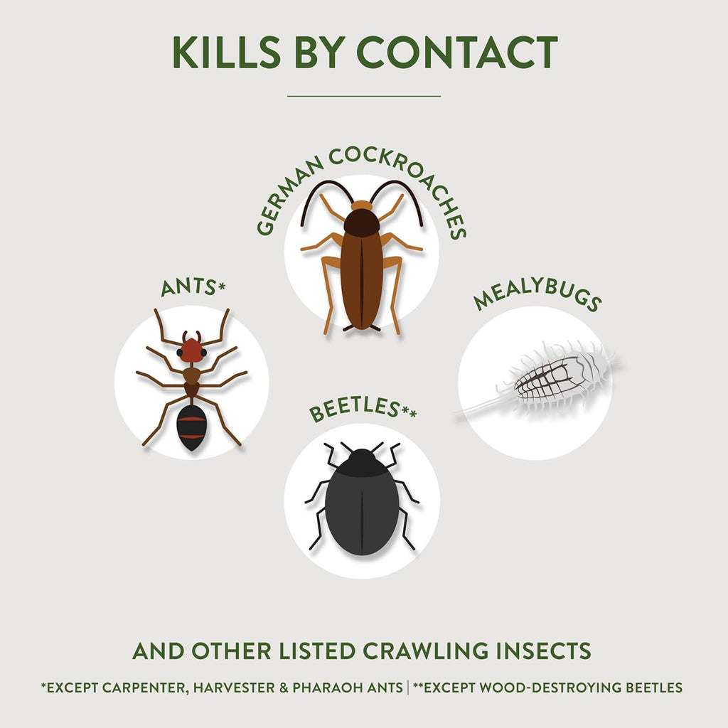 Diatomaceous Earth Insect Killer